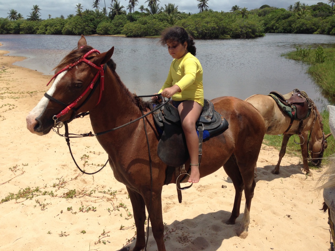 Svadilfari, o Clã do Cavalo